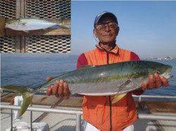 須磨海づり公園、ノマセ釣りでメジロ記録賞♪