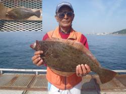 須磨海づり公園　ノマセで記録賞のヒラメ57…