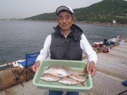 須磨海づり公園　ウキ流し釣りでマダイ21～50cm4尾