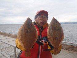 須磨海づり公園の投げ釣りでカレイ、エサはマムシを使用