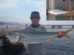 須磨海づり公園　のませ釣りでメジロ86cm…