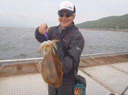 須磨海づり公園　エギングで900gのアオリイカ