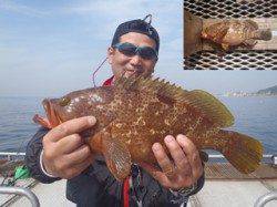 須磨海づり公園 記録賞サイズのアコウ43cm！