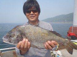 須磨海づり公園で年なしチヌ51.5cm！