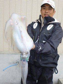 湯浅の磯 アオリイカ胴長～37cm3バイとマゴチ59cm