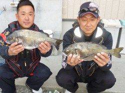 湯浅の磯、フカセのチヌが好調です