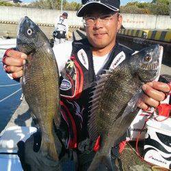 湯浅の磯　フカセ釣り・紀州釣りでのチヌ釣果