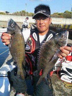 湯浅の磯　フカセ釣り・紀州釣りでのチヌ釣果