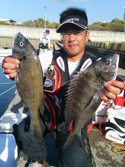 湯浅の磯　フカセ釣り・紀州釣りでのチヌ釣果…