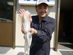ヤエンで900gのアオリイカの釣果☆
