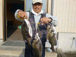 紀州釣りでチヌ ヤエンでアオリ・コウイカも 湯浅の磯