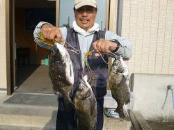 紀州釣りでチヌ　ヤエンでアオリ・コウイカも…