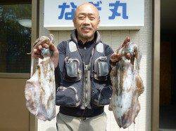 湯浅の磯　ヤエンでアオリイカの釣果