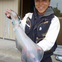 胴長35cmと37cmのアオリイカ ☆ 湯浅の磯でヤエン&ウキ釣り
