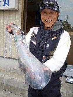 胴長35cmと37cmのアオリイカ ☆ 湯浅の磯でヤエン&ウキ釣り