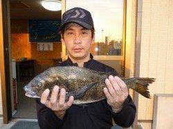 湯浅の磯　紀州釣りでチヌ好釣果♪