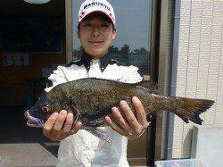 フカセ釣りでは、チヌ・アイゴの釣果あり♪