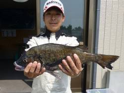 フカセ釣りでは、チヌ・アイゴの釣果あり♪