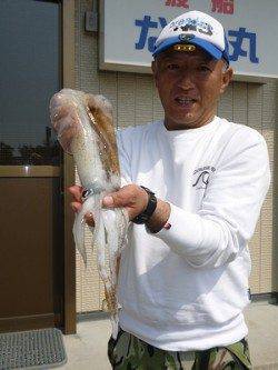 エギングでもキロアップ狙えます！！ in 湯浅の磯