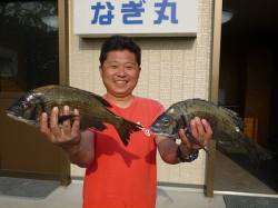 紀州釣りで良型チヌ2匹の釣果☆