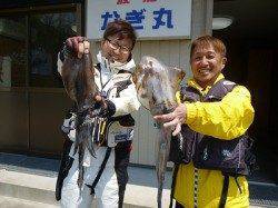 ヤエンでアオリイカは好調のようです♪