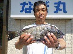 フカセでマダイ62.5cm！！　湯浅の磯