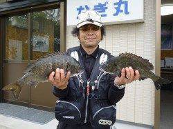 湯浅の磯のフカセ釣りで良型チヌの釣果