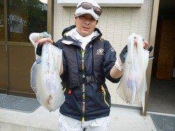 胴長30cmオーバーのアオリイカを2ハイ！ 湯浅の磯のヤエン釣り