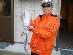 PE0.6号でアオリイカ胴長～33cm（1.43kg）3バイ 湯浅の磯エギング