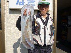 湯浅の磯でヤエン　キロアップのアオリが好釣！