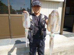 湯浅の磯のヤエン釣果〜1.96kgのアオリイカ