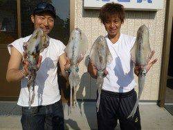 湯浅の磯エギングでのアオリイカ、ヒットカラーはピンク、オリーブ