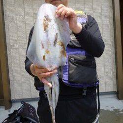 湯浅の磯　ヤエンでアオリイカ2.03kg