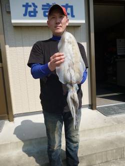 湯浅の磯　ヤエンでアオリイカ2.03kg