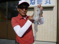 湯浅の磯のエギング釣果、ヒットカラーはゴールド