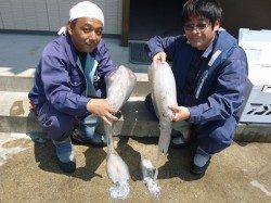 湯浅の磯にて紀州釣りでチヌ50.0cm！！