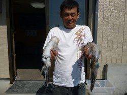 湯浅の磯にて紀州釣りでチヌ50.0cm！！