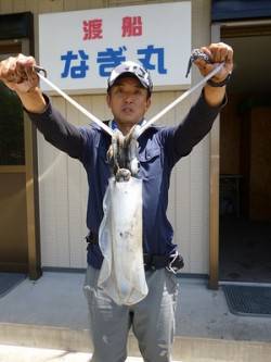 4号のエギでアオリイカ1.43kg♪　湯浅…