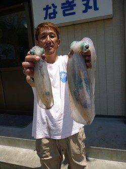 アオリイカ胴長35cmまでを６パイ〜湯浅の磯 ヤエンでの釣果