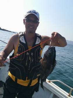 湯浅の磯フカセで良型チヌ4枚のほかマダイ7…