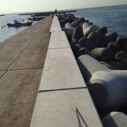 豆アジ専門の仕掛けで釣果UP！ 須磨のサビキ釣りで豆アジ