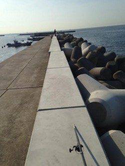 豆アジ専門の仕掛けで釣果UP！ 須磨のサビキ釣りで豆アジ