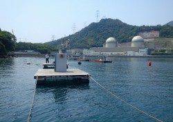 音海の筏でエギング&キッシング〜コウイカ・キス・ガシラ