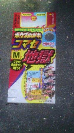 新浜漁港のちょい投げで今年初めてのカレイのお姿！