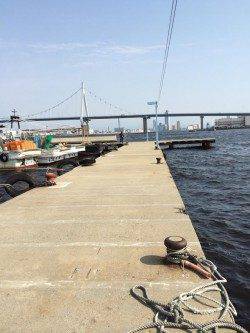 舞洲の常吉大橋裏の桟橋　エビ撒きズボ釣りでアイナメ