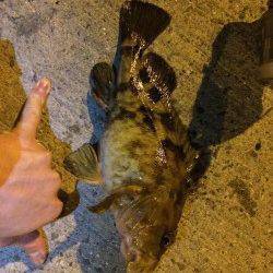 鳥取ノ荘でメバリング〜根掛かりと思いきや30cm近くのガシラ！