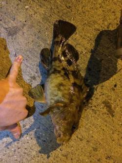 鳥取ノ荘でメバリング〜根掛かりと思いきや3…