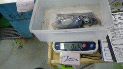 椿にてヤエンでのアオリイカ釣果