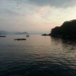 コウイカ狙って2ハイ、獰猛な性格を利用しての釣果に満足！