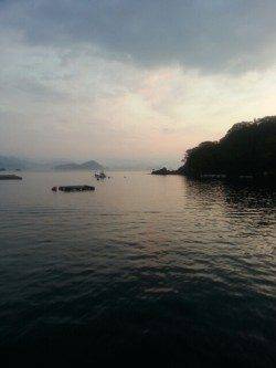 コウイカ狙って2ハイ、獰猛な性格を利用しての釣果に満足！